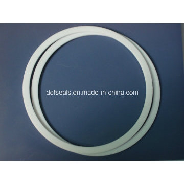 Virgin PTFE /POM/PA Backup Ring/Gasket